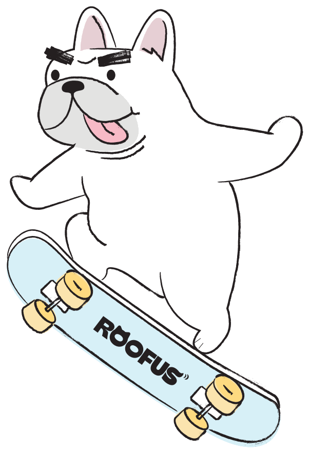 Roofus the frenchie riding a skateboard