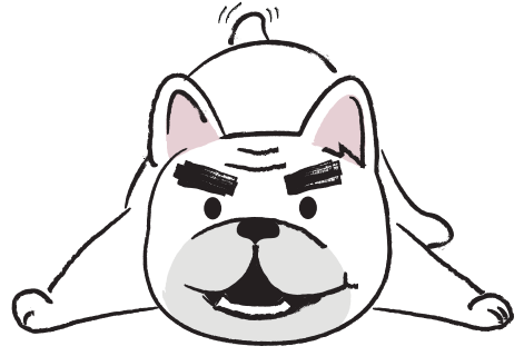 Dog in a playful bow