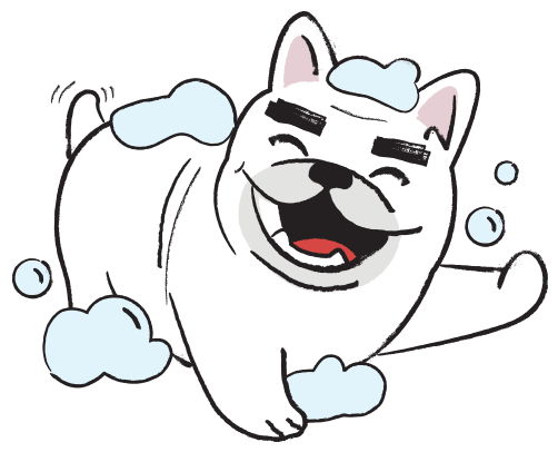 Dog covered in shampoo bubbles