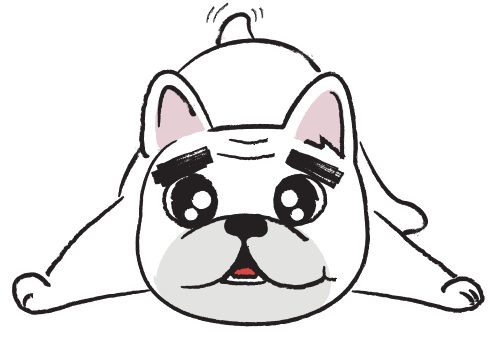 Dog with big clean eyes
